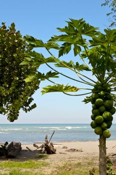 A beautiful deserted beach in a bay in Ecuador