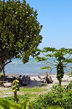 A beautiful deserted beach in a bay in Ecuador