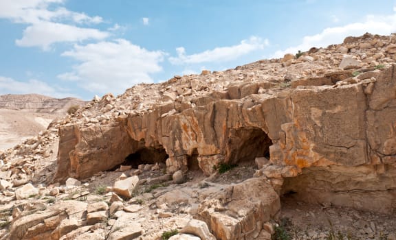 Judean Desert, under the scorching rays of the sun. Israel. Spring.