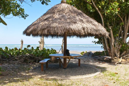 A beautiful deserted beach in a bay in Ecuador