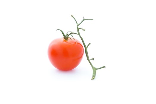 The red tomato with green branches on the isolated background