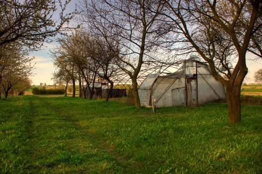 village Krosnowa in Poland