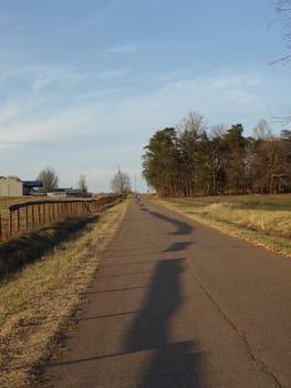 A rural road in the afternoon sun