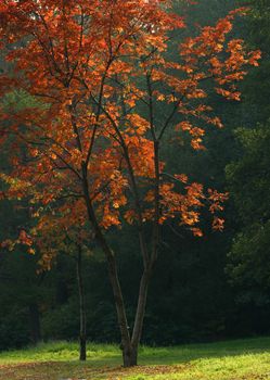Upon the image dawn