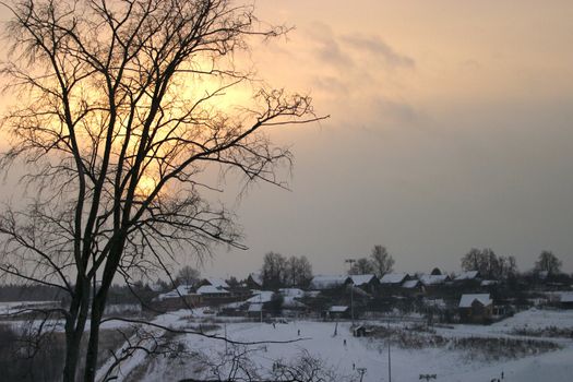 Tree in snow on a slope. On a background a village