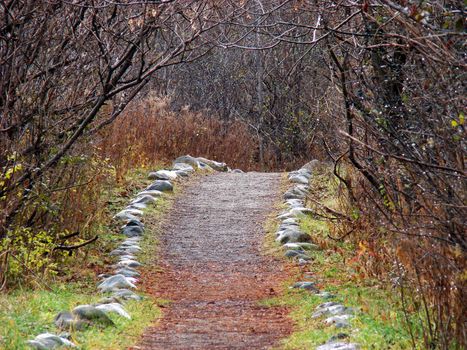 Fall season in Canada.