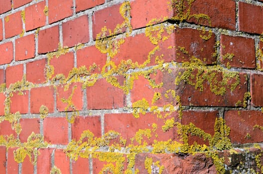 Corner of old mossy red brick wall background backdrop.