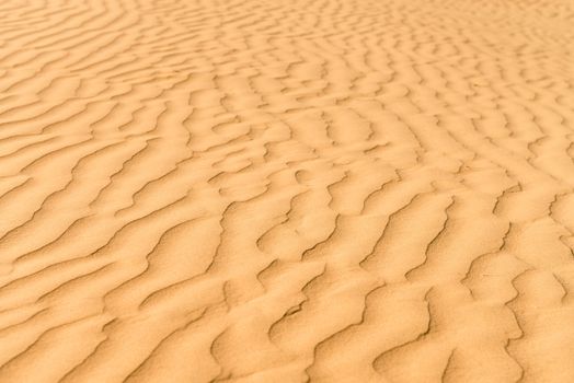 Gold sand dunes in desert at sunset. Thar desert or Great Indian desert.