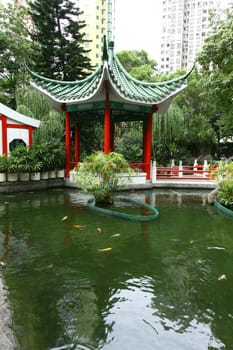 Chinese garden in Hong Kong