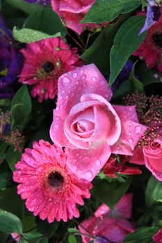 Pink rose and gerbera with waterdrops after a rainshower