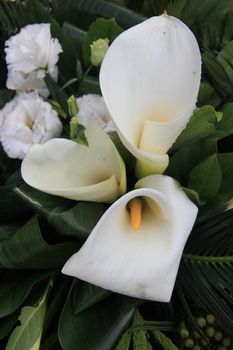 Sympathy bouquet with white arum lilies and carnations