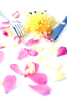 silver fork and knife isolated with dahlia and rose petals for concept on romantic dining