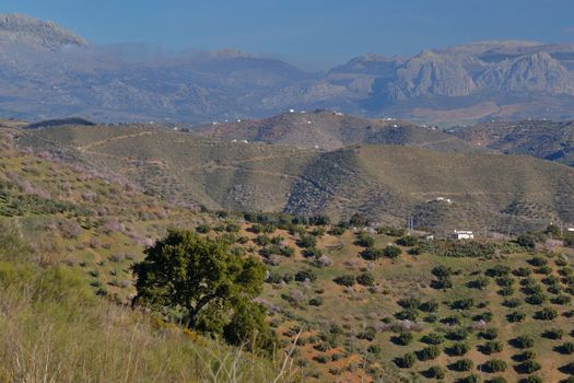 peaks of mountains in the north we go out of Malaga