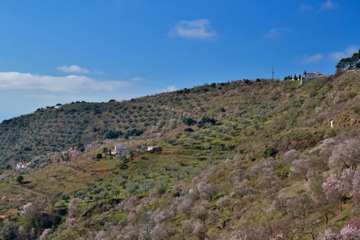 peaks of mountains in the north we go out of Malaga