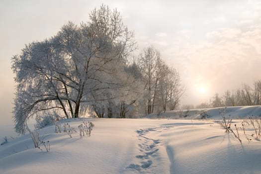 Sunrise in the winter morning