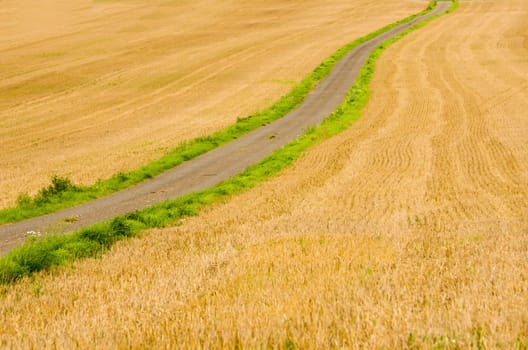 The road of wheatfields