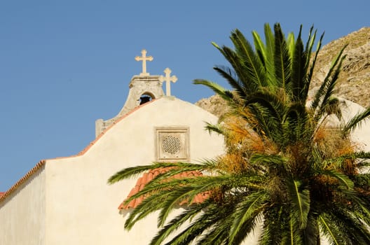 the church and a palm tree