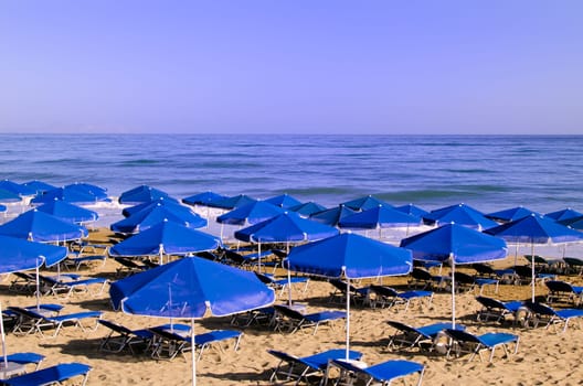 parasols on a sea beach