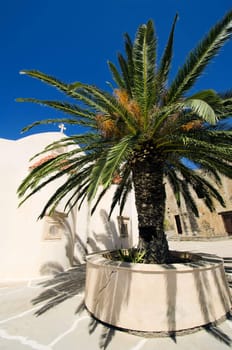 a monastery in Crete with a palm tree