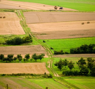 way in the green and yellow campaign