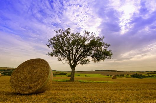 a straw bale and a green tree