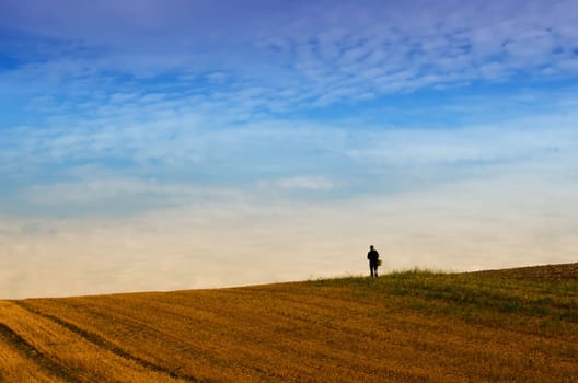 the walker alone in the fields