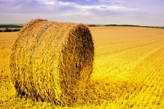 straw bale in the field