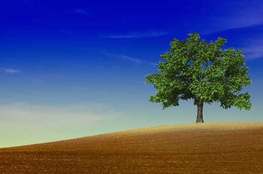 a green tree in a field