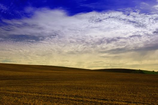 wheat fields after the harvest