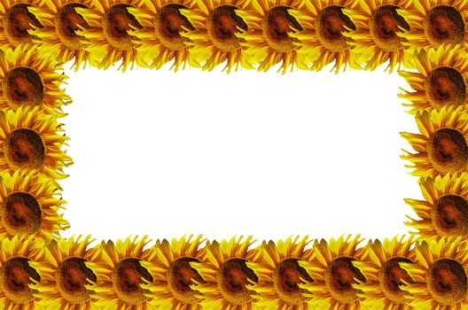 Sunflowers abstract frame