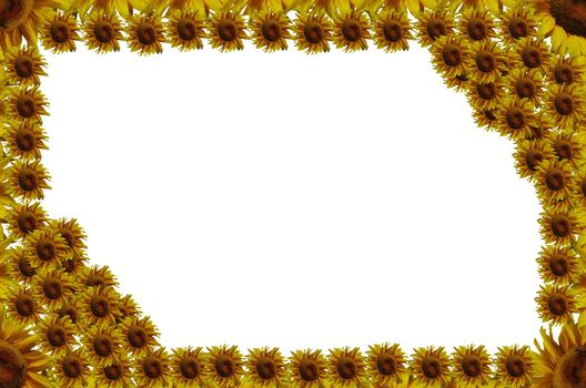 Sunflowers abstract frame