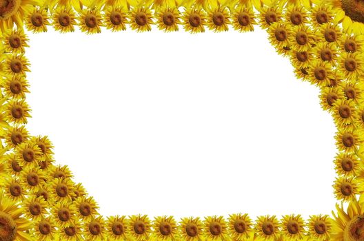 Sunflowers abstract frame