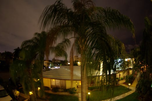 Fort Lauderdale at night