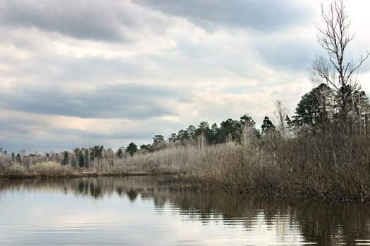 Kind on wood lake in the early spring