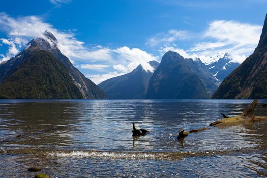 Milford Sound and Mitre Peak in Fjordland National Park  Southern Alps  New Zealand
