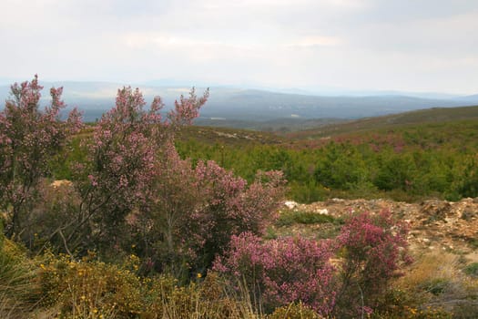 view on mountains in Portugal