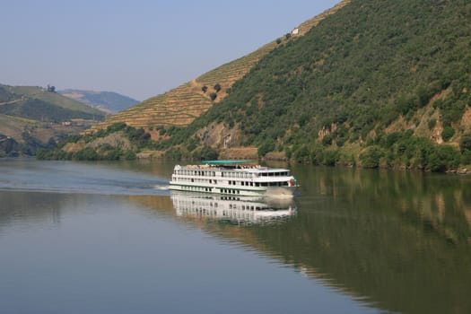 view in vineyard in Portugal