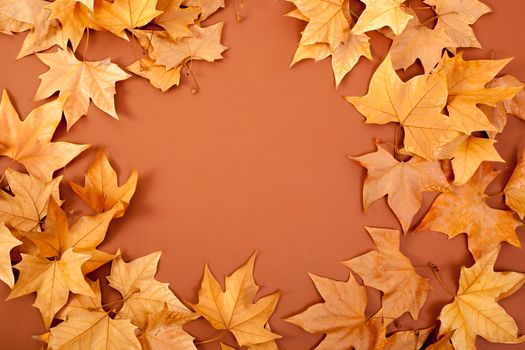 autumn fall dried leaves border fame on brown background copyspace