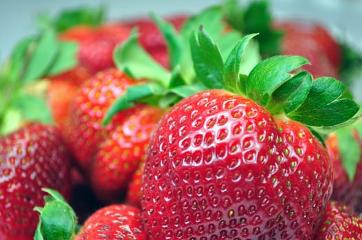 Close up of fresh, colorful, tasty, strawberries 