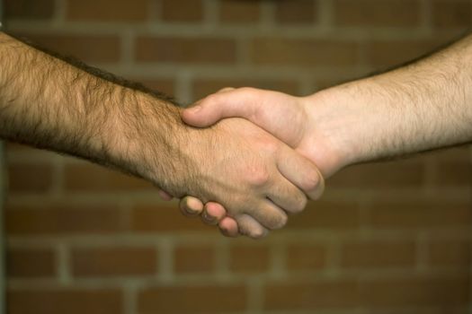 A firm handshake over a brick wall backdrop.