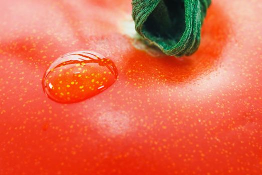 Closeup- red tomatoes, water drop