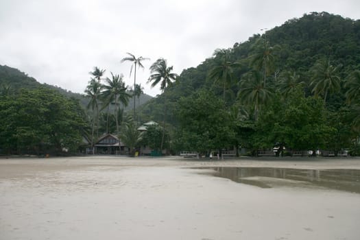 coconut trees koh chang island white sand beach