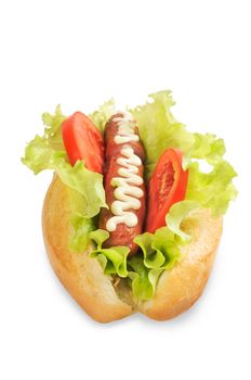 Tasty and delicious hotdog. Isolated on white.