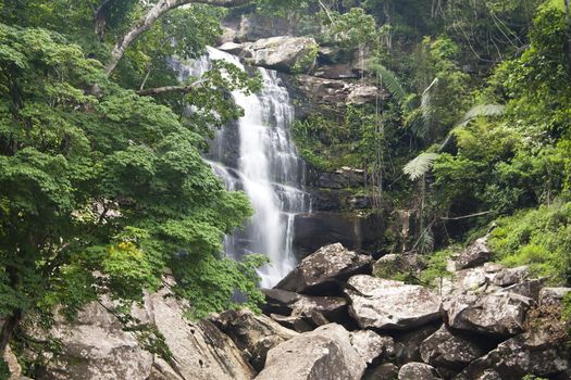 Beautiful rain forest and waterfall at Thailand. 