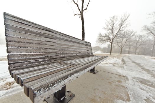 A park bench in the snow by the shores of Wascana Lake