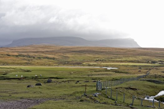 scottish landscape with mountains in background and grass in front