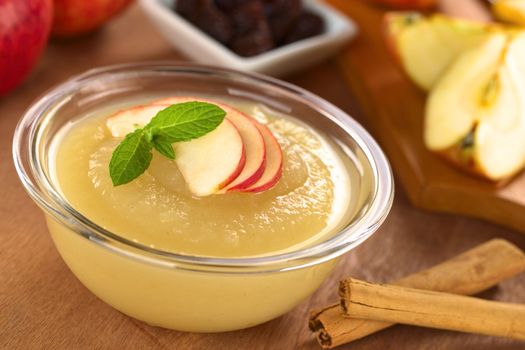 Fresh homemade apple sauce with cinnamon sticks on the side, apple and raisins in the back (Selective Focus, Focus on the front of the apple slices on the sauce) 