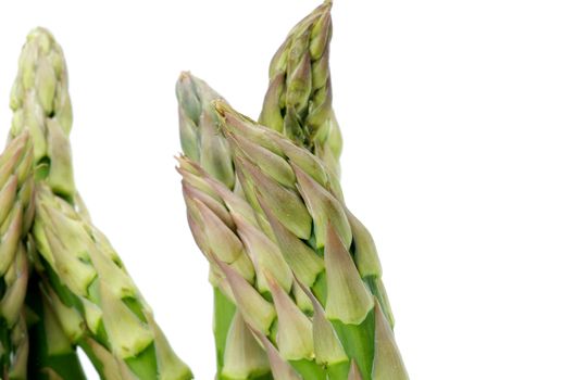 Raw Green Asparagus Sprouts isolated on white background