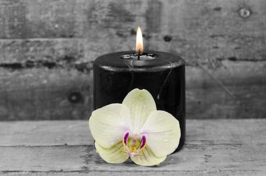 a black candle and an orchid flower