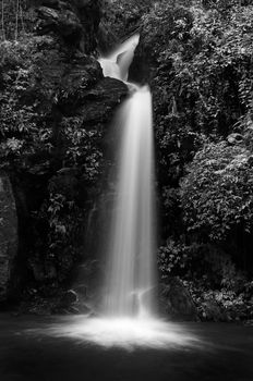 Mon Tha Than waterfall Black and White
Doi Suthep - Doi Pui National Park, Chiang Mai, Thailand